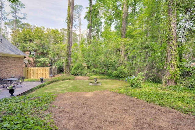 view of yard with a patio