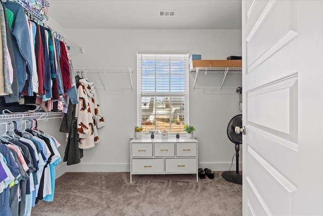 spacious closet with carpet flooring and visible vents