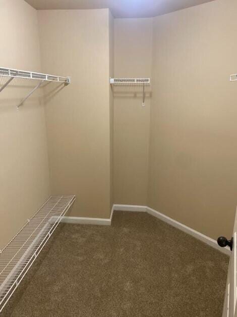 6066 Reynolds Cir, Grovetown, GA 30813 - spacious closet featuring carpet flooring
