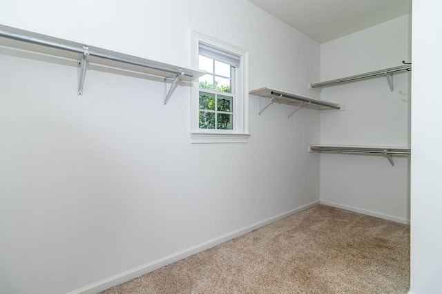 5191 Windmill Pl, Evans, GA 30809 - spacious closet featuring carpet