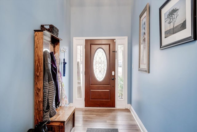 foyer entrance featuring wood-type flooring