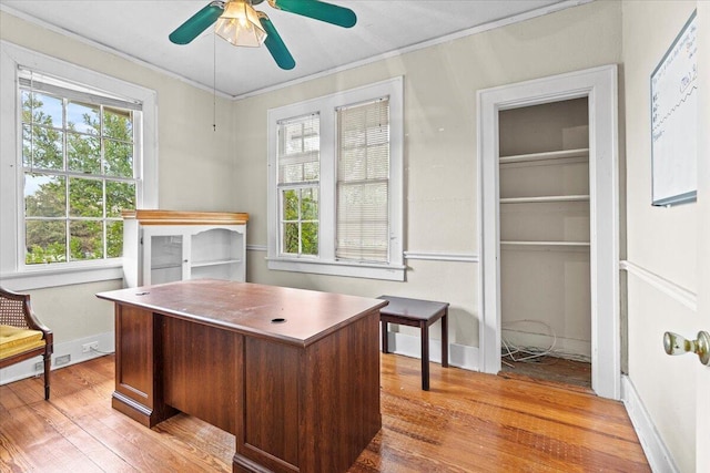 office featuring ceiling fan, ornamental molding, a wealth of natural light, and light hardwood / wood-style flooring