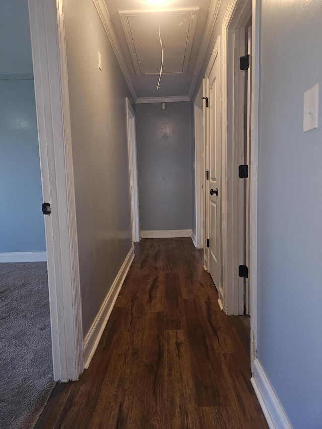 4596 Hickory Dr, Evans, GA 30809 - hallway with baseboards, attic access, wood finished floors, and crown molding