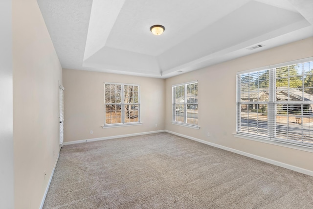 spare room featuring carpet flooring and a tray ceiling