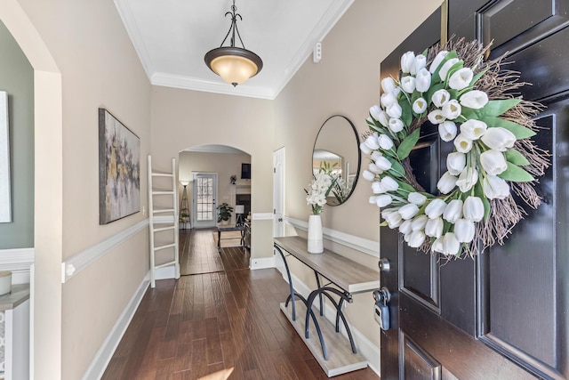 foyer entrance featuring ornamental molding and dark hardwood / wood-style flooring