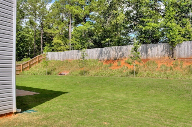 6093 Whitewater Dr, North Augusta, SC 29841 - view of yard