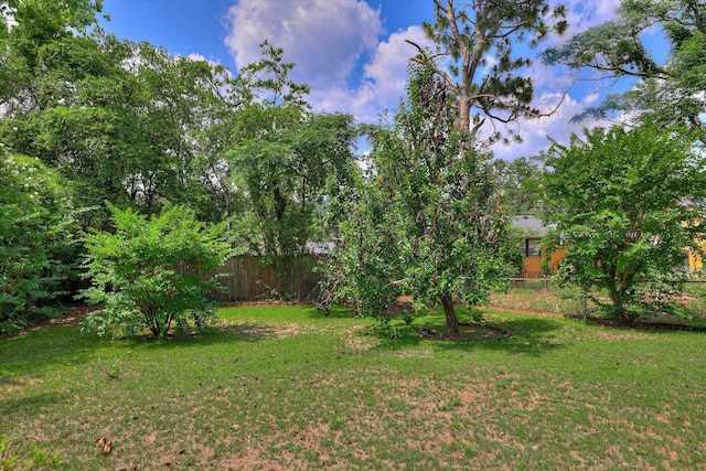 3009 Arcadia Ct, Augusta, GA 30906 - view of yard