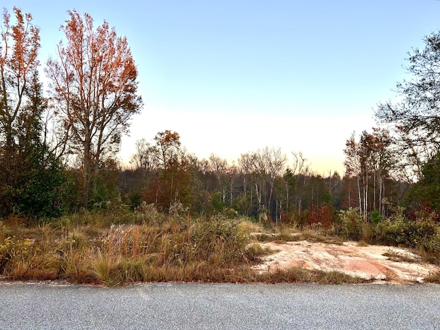 2650 New Hope Cir, Hephzibah GA, 30815 land for sale