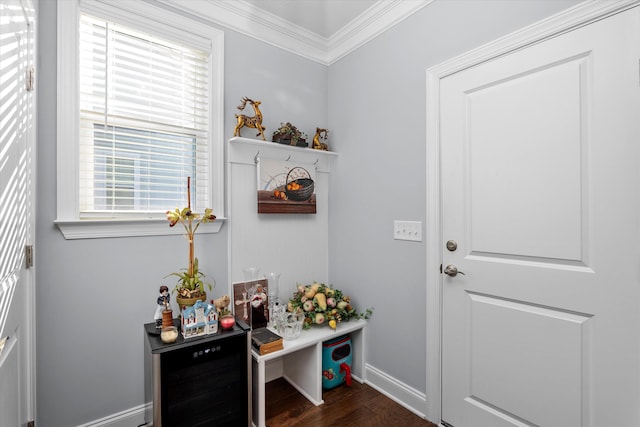 mudroom with dark hardwood / wood-style flooring and crown molding