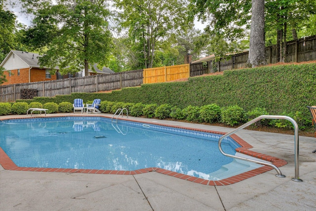 view of swimming pool with a patio, a fenced backyard, and a fenced in pool