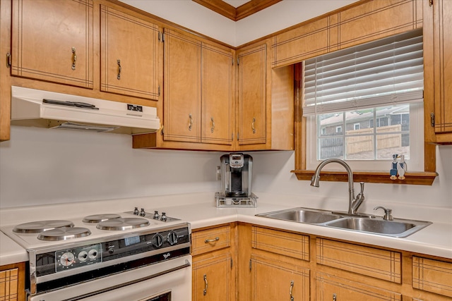 kitchen with a sink, brown cabinetry, electric range, under cabinet range hood, and light countertops
