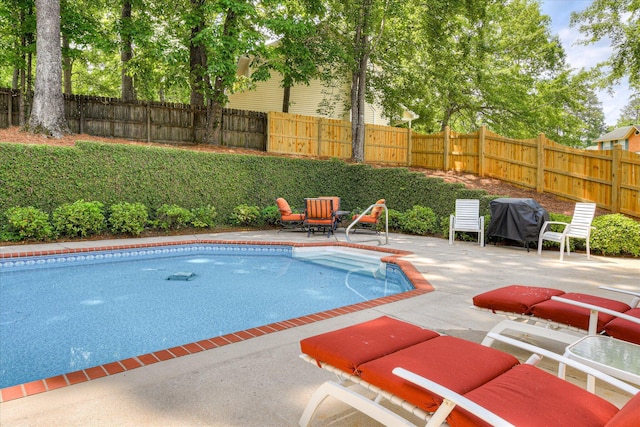 view of pool with a patio, a fenced backyard, and grilling area