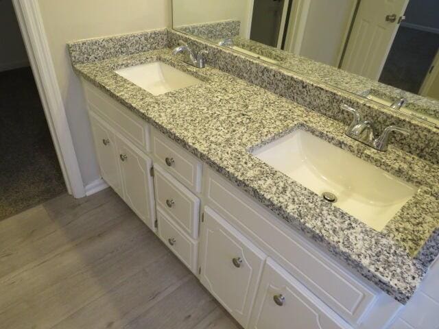 bathroom with wood finished floors, a sink, and double vanity