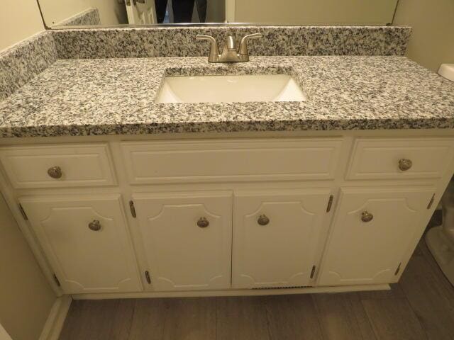 bathroom featuring wood finished floors and vanity