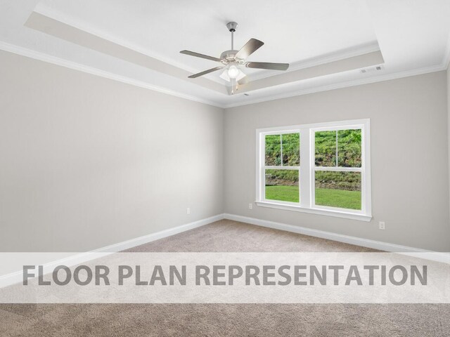 carpeted spare room featuring crown molding, a raised ceiling, and ceiling fan