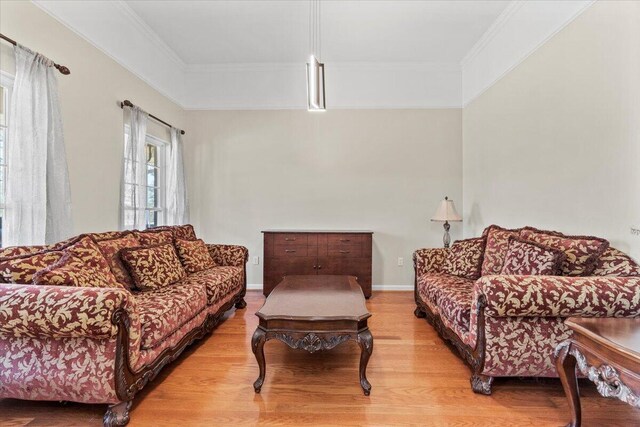 living room with light wood-type flooring and crown molding