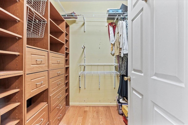 walk in closet with light wood-type flooring