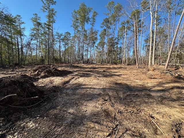 2066 Mims Rd, Hephzibah GA, 30815 land for sale