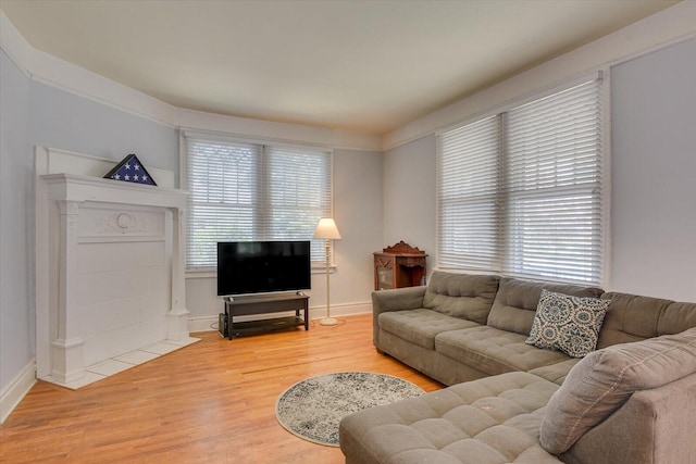 living room featuring hardwood / wood-style floors and plenty of natural light