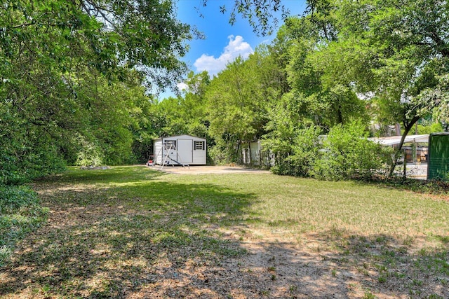 view of yard featuring a storage shed