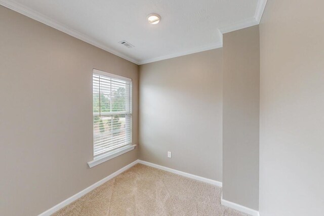 504 Hampton Dr, North Augusta, SC 29860 - photo 13