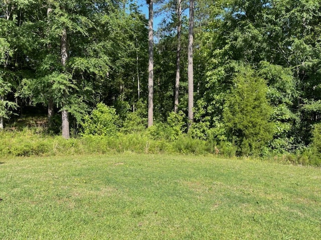 P-6 Cunningham Ct, North Augusta SC, 29860 land for sale