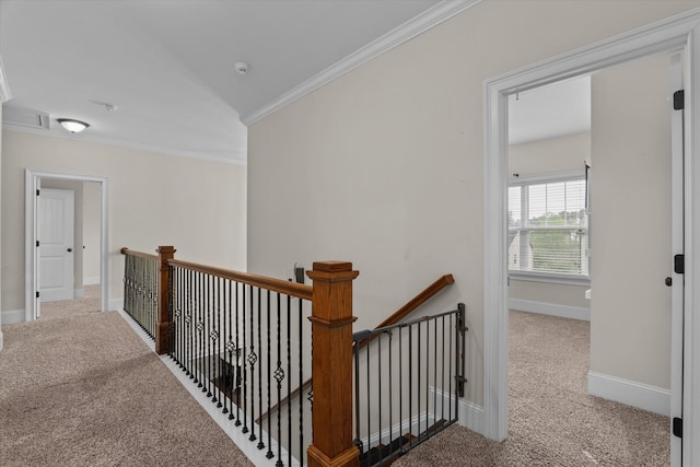 322 Pump House Rd, Evans, GA 30809 - hallway featuring carpet flooring, an upstairs landing, baseboards, and ornamental molding