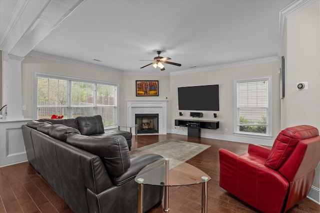 322 Pump House Rd, Evans, GA 30809 - living room with crown molding, a healthy amount of sunlight, and a ceiling fan
