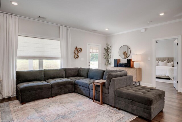 living room featuring wood-type flooring and crown molding