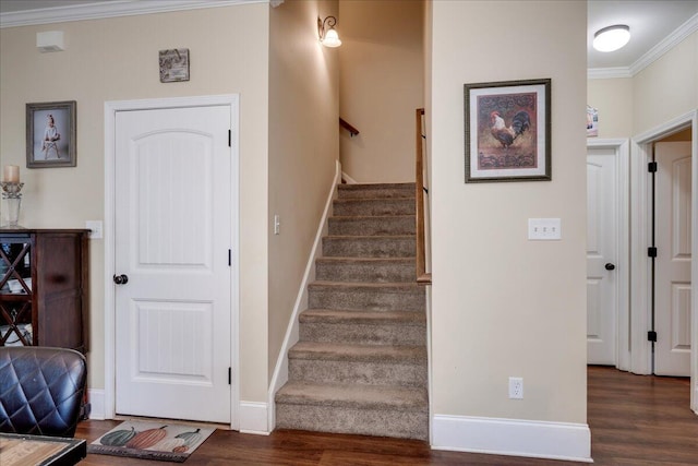 stairway with hardwood / wood-style flooring and ornamental molding