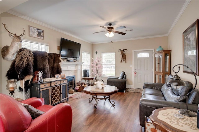 living room featuring ceiling fan, dark hardwood / wood-style flooring, plenty of natural light, and crown molding