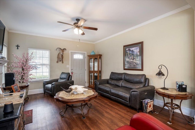 living room with ceiling fan, a fireplace, dark hardwood / wood-style floors, and ornamental molding