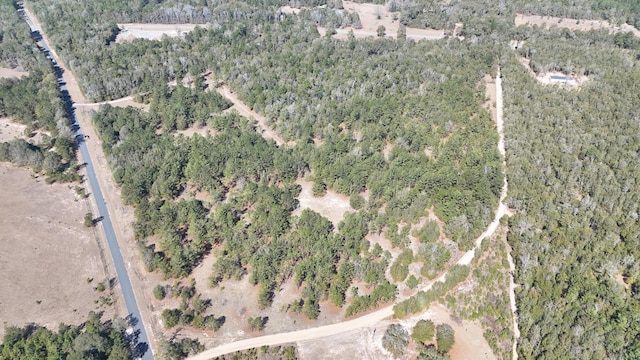 10A Fellowship Rd, Williston SC, 29853 land for sale