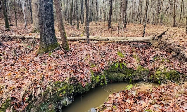 2061 White Rock Rd, Lincolnton, GA 30817 - view of nature