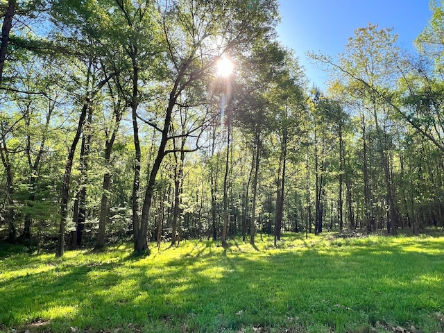 2061 White Rock Rd, Lincolnton, GA 30817 - view of nature