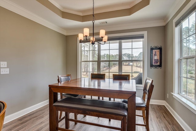 dining room with a chandelier, a raised ceiling, baseboards, and wood finished floors