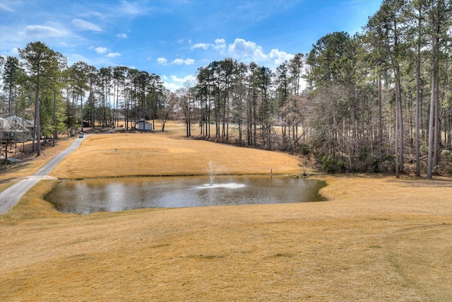 property view of water