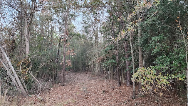 1027 Grindstone Rd, Hephzibah GA, 30815 land for sale