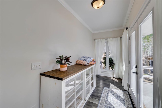 interior space with crown molding, plenty of natural light, and dark hardwood / wood-style floors