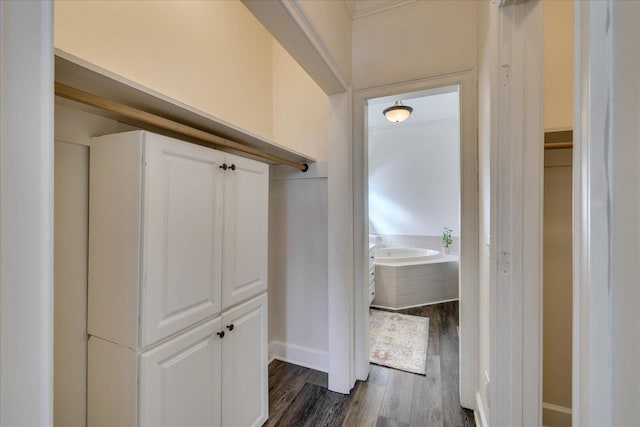 corridor with dark wood-type flooring