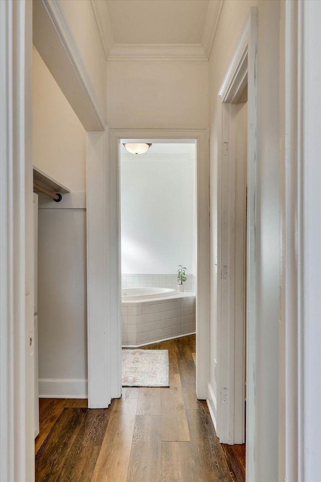 hallway with dark wood-type flooring and ornamental molding