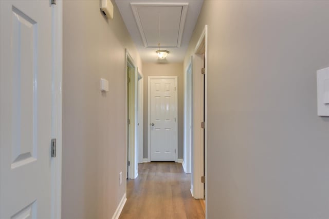 3643 Stanton Ct, Augusta, GA 30906 - corridor featuring attic access, light wood-style flooring, and baseboards