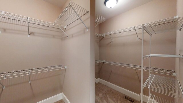 802 Sparkleberry Rd, Evans, GA 30809 - photo 30