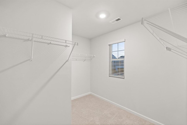 spacious closet with carpet