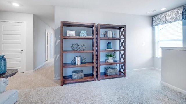 interior space with light colored carpet