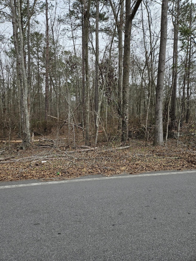 5485/5486 Mitchner Road Ext, Dearing GA, 30808 land for sale