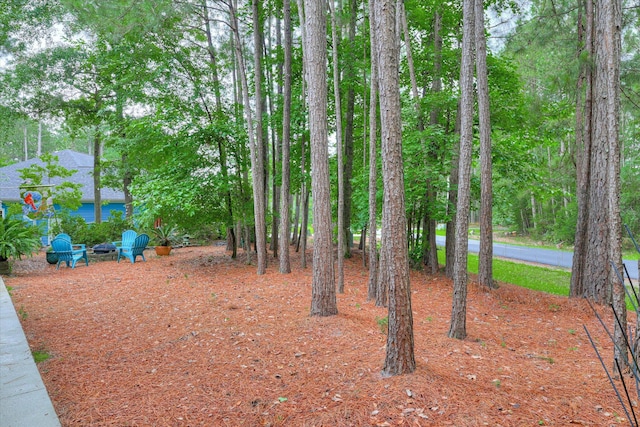 901 Patriots Pt, Mccormick, SC 29835 - view of yard