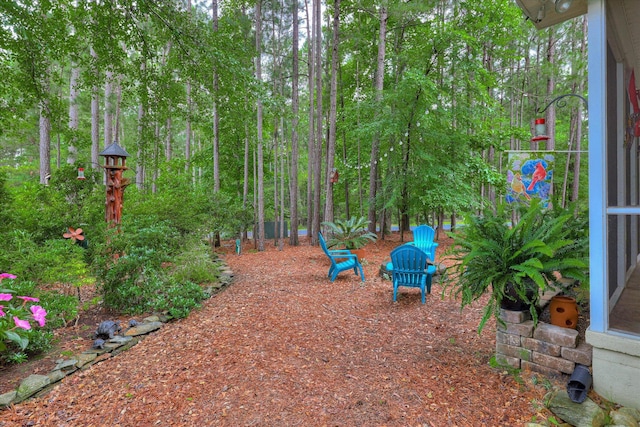 901 Patriots Pt, Mccormick, SC 29835 - view of yard