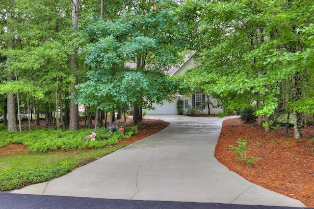 901 Patriots Pt, Mccormick, SC 29835 - view of property's community with driveway and a garage