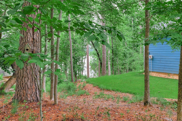 901 Patriots Pt, Mccormick, SC 29835 - view of yard